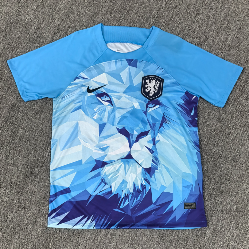 Maillot Pays-Bas 24-25 - Édition Concept