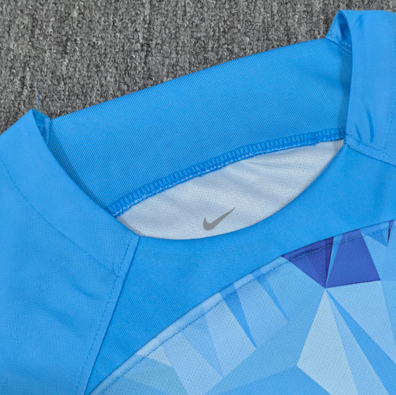 Maillot Pays-Bas 24-25 - Édition Concept