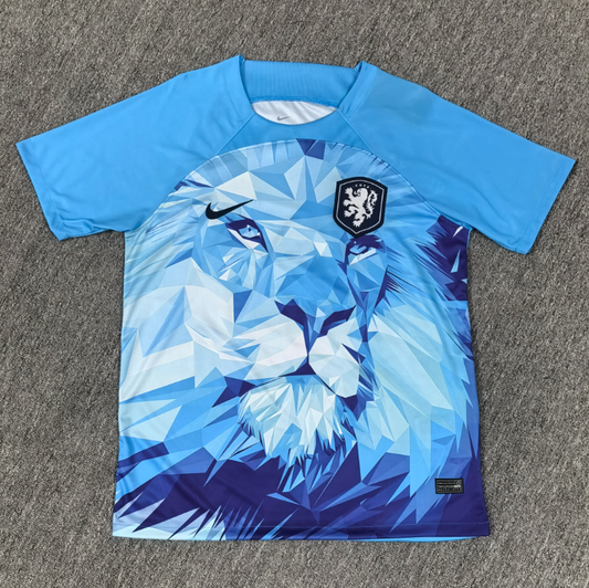 Maillot Pays-Bas 24-25 - Édition Concept